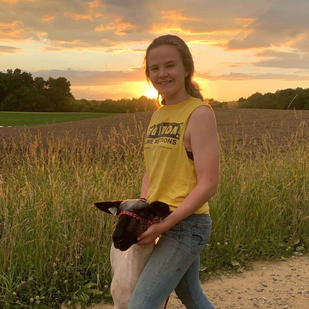 Meet your Posher, Maddie